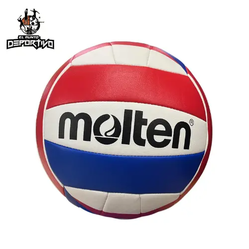 Balón de Voleibol