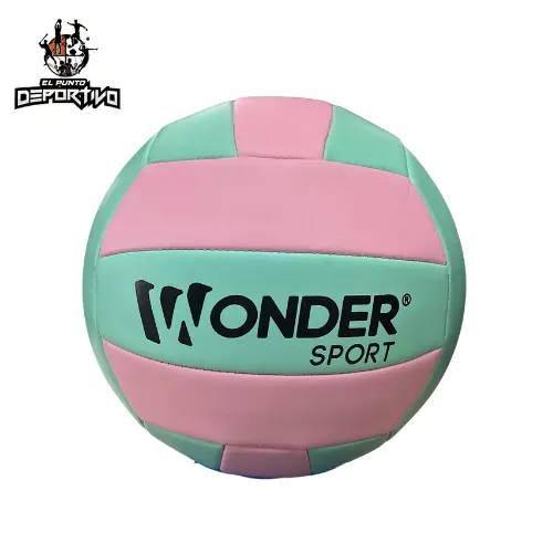 Balón de Voleibol